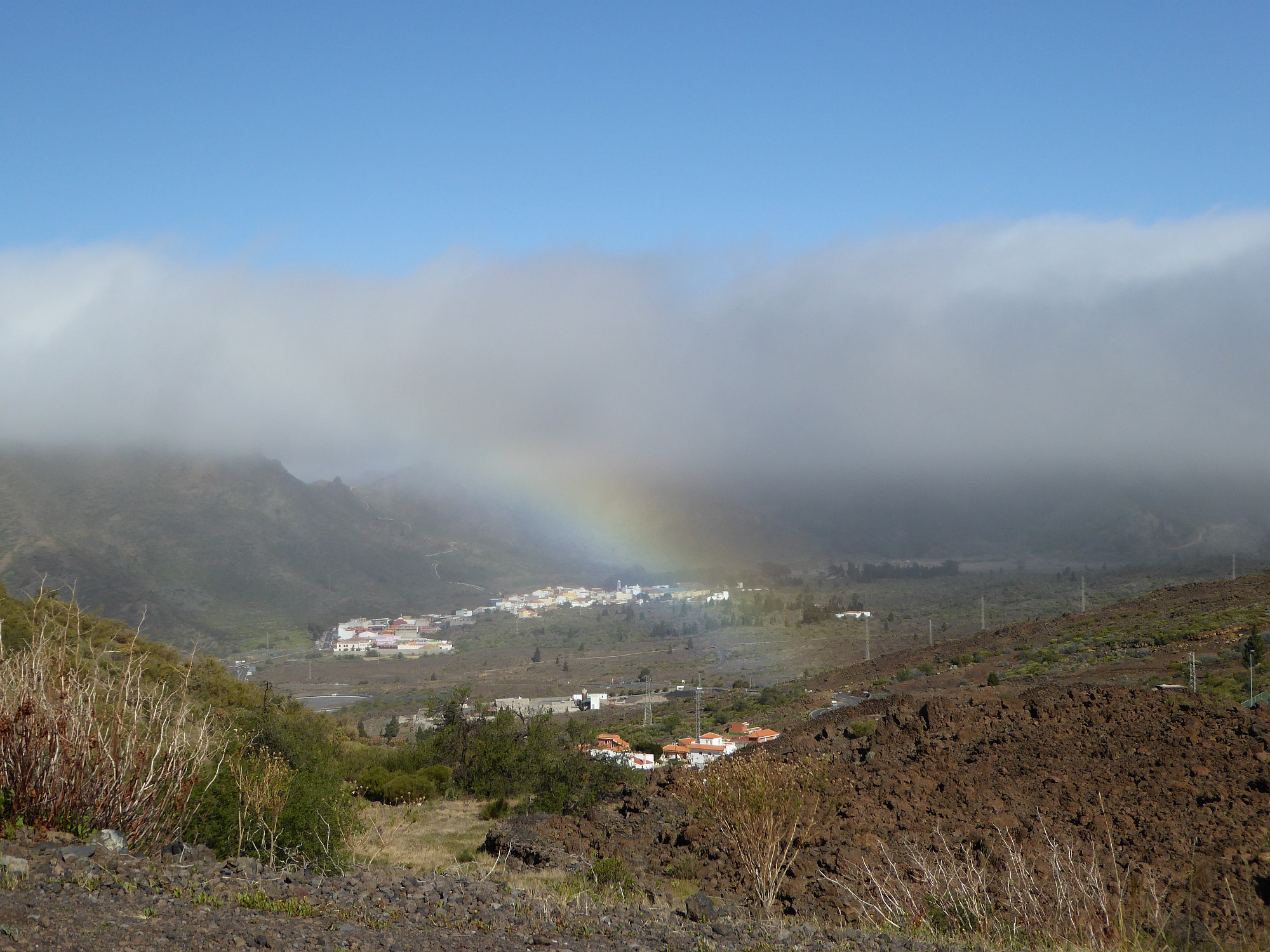 Buchtipp Arthur, der Hund der den Dschungel durchquerte, um ein