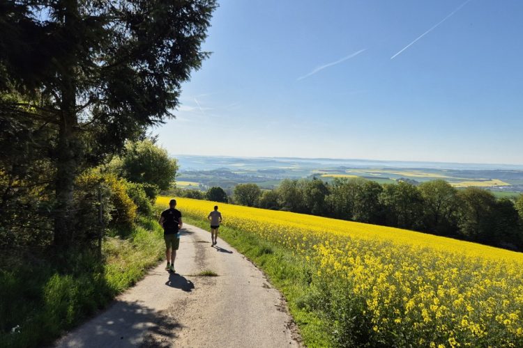 Anfänger-Laufseminar in Frankfurt-Nied mit Iris Hadbawnik